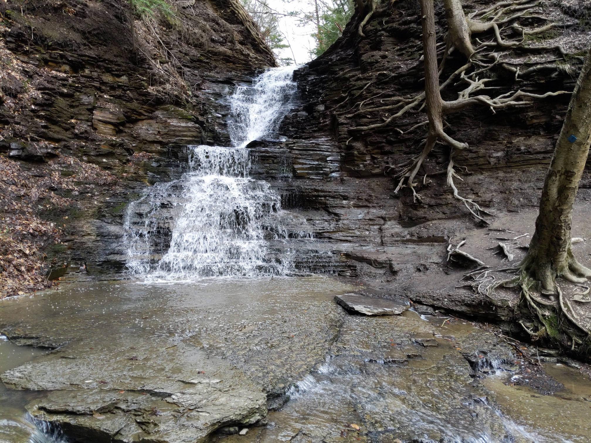 Chestnut Ridge, Orchard Park, NY