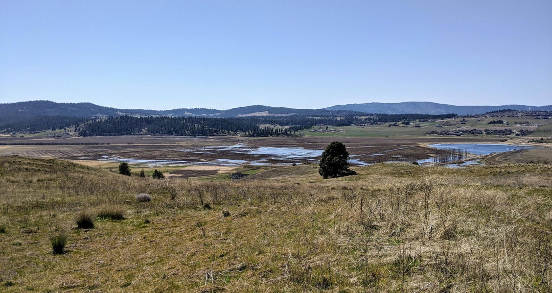 Hiked the Saltese Uplands today, got a nice view of Saltese Lake which is being restored to its natural wetland habitat