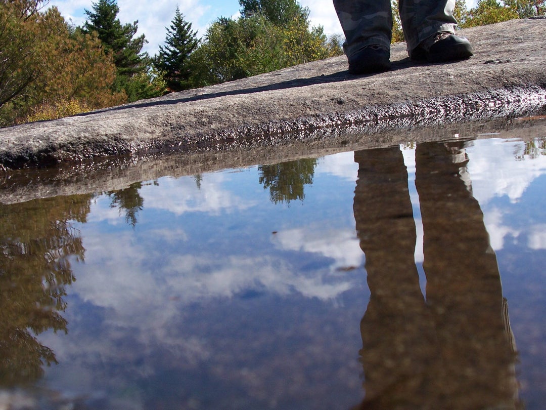 In 2007 I hiked to the top of Buck Mountain in New York. At the peak was a puddle with a bunch of tadpoles growing in it. It hadnt rained in weeks, yet somehow they were there growing and thriving. Sail boat race on Lake George included at the end for mountain scale since I didnt have a banana.