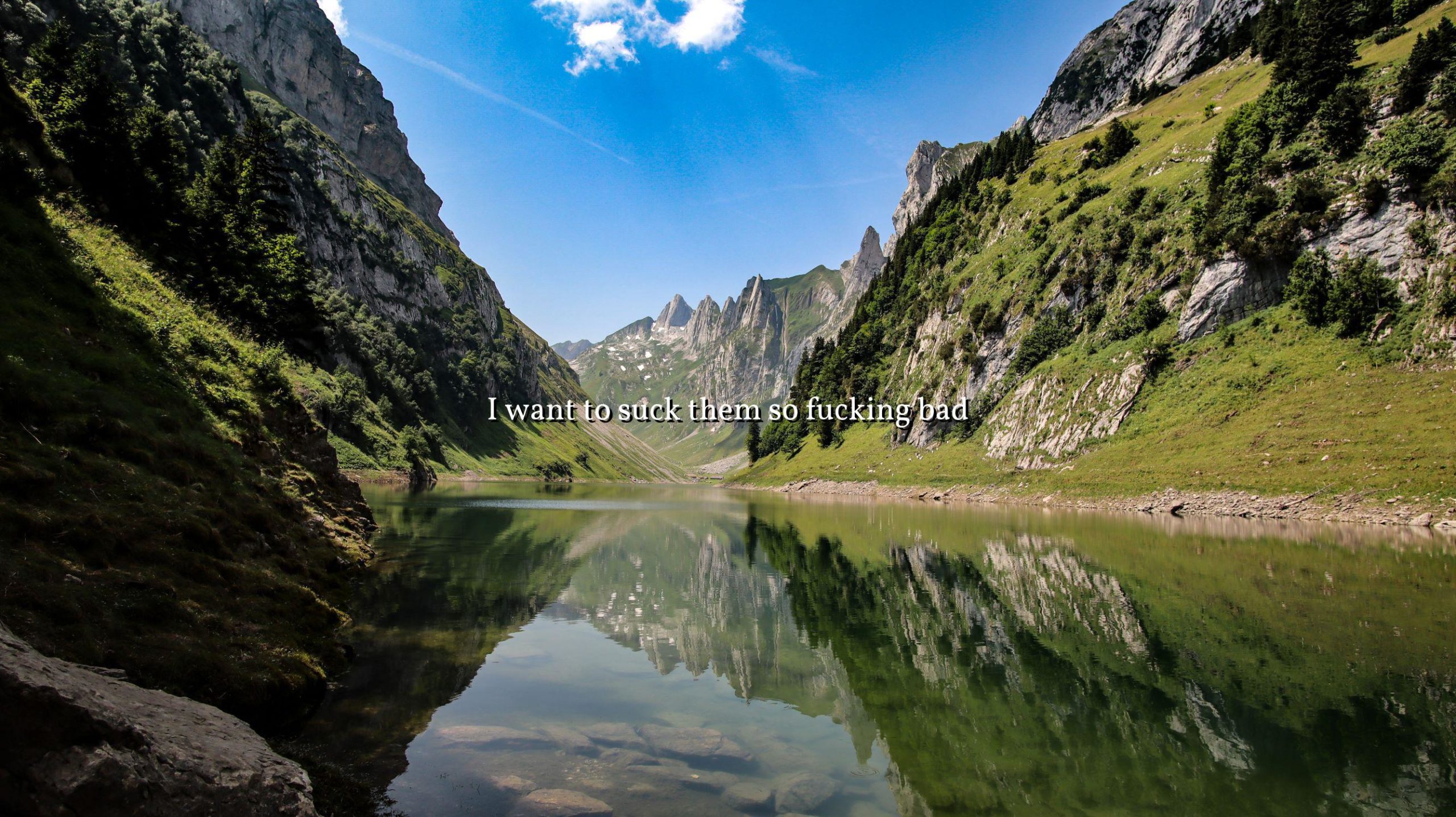 Hiking in Switzerland was something else last summer, ,Appenzell, Switzerland , OC