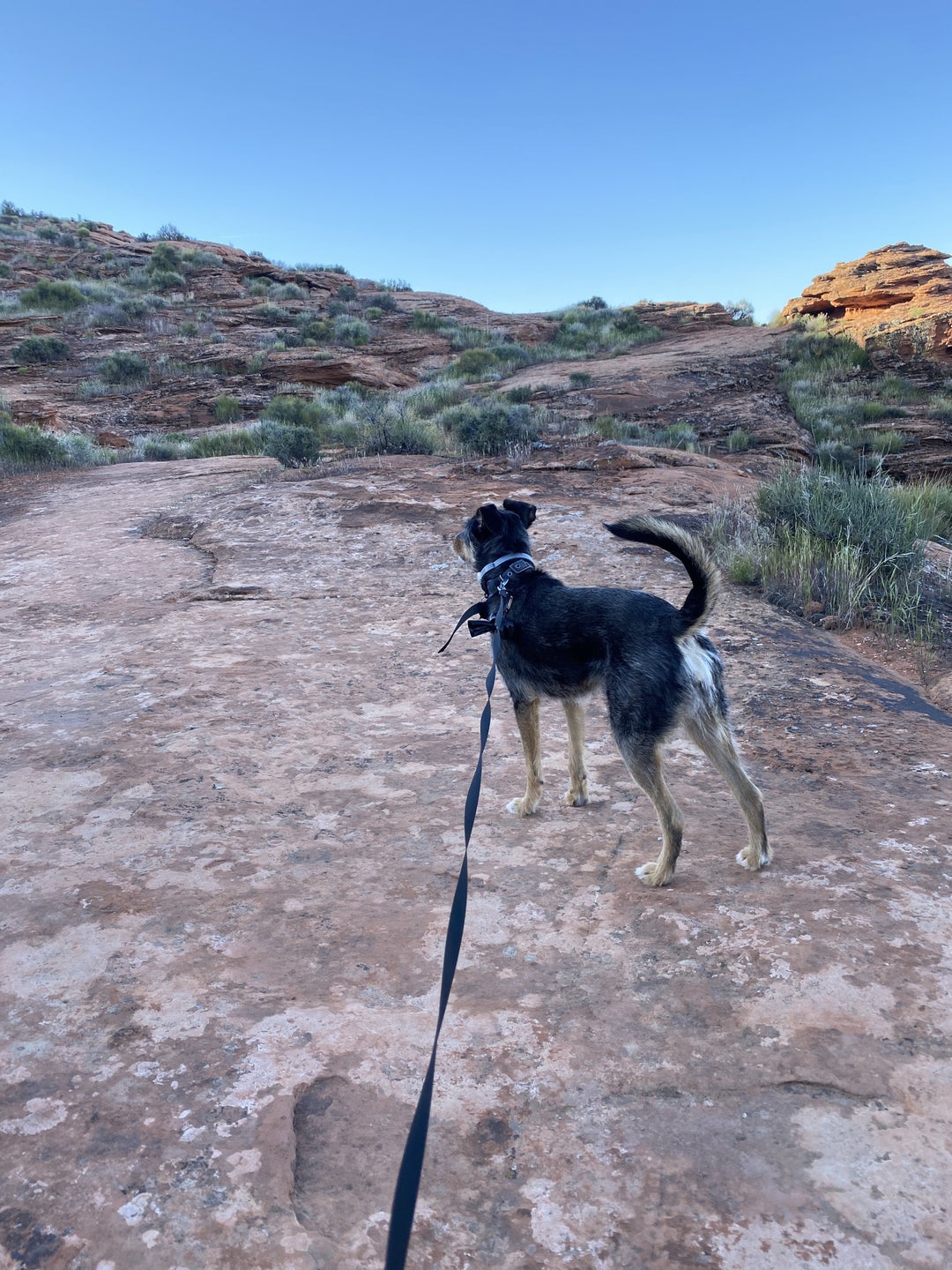 Got my Instagram worthy photo finally – Hiking Owens Loop, St George, Utah, United States