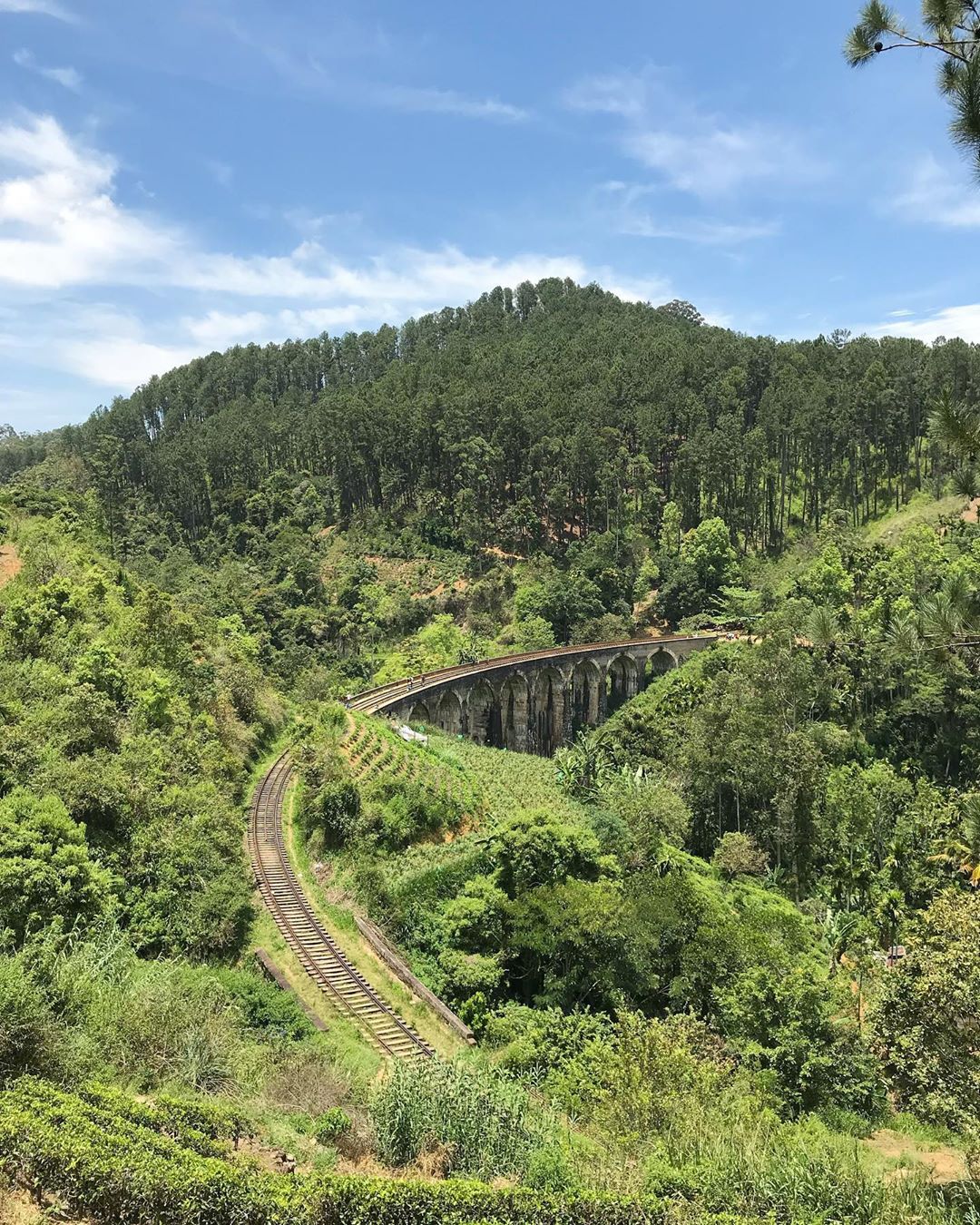 Nine arches. srilanka ella ninearchesbridge trains outdoors travel travelphotography landsc…