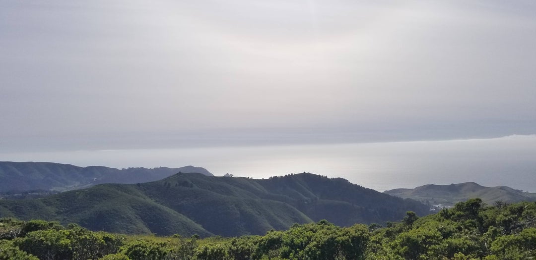 Taken on my hike from Sweeny Ridge Trail, Pacifica CA 40321960 OC