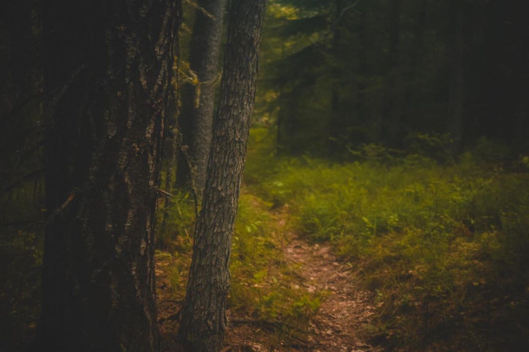 The gorgeous PNW upperleftusa hiking outdoors photography wa views whatsinyourframe getout…