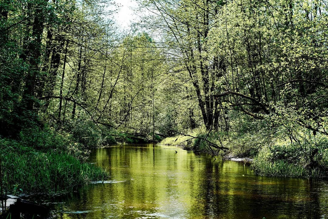 forest river d3400 nature nikon hiking travel photography nikond3400 mountains water nik…