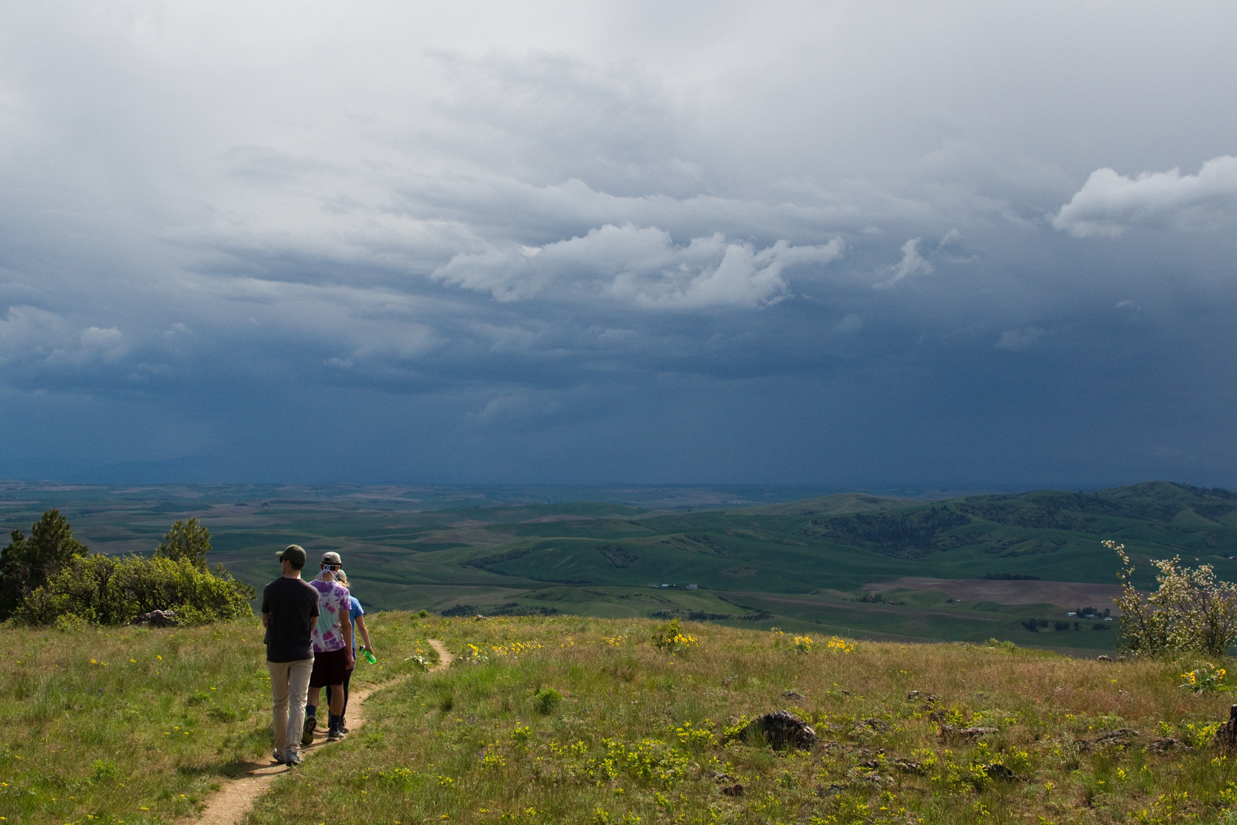 The Calm Before the Storm Hiked Paradise Ridge Moscow area with some friends just before this afternoons violent thunderstorm.