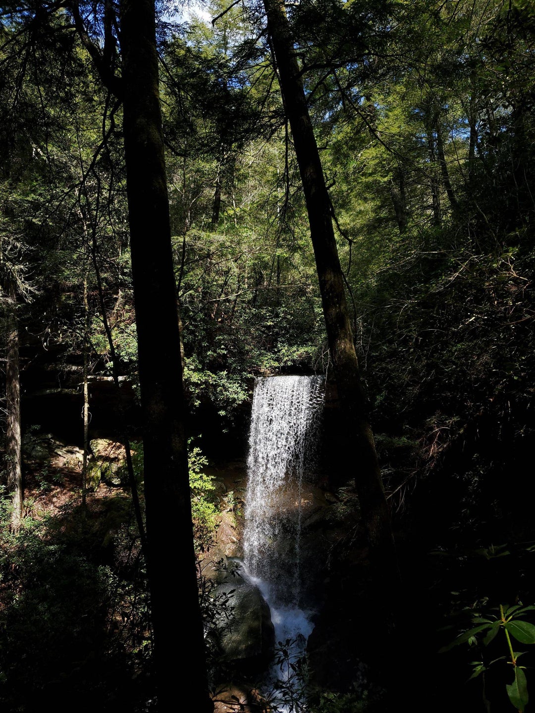 Van Hook Falls, Daniel Boone National Forrest, Kentucky, USA