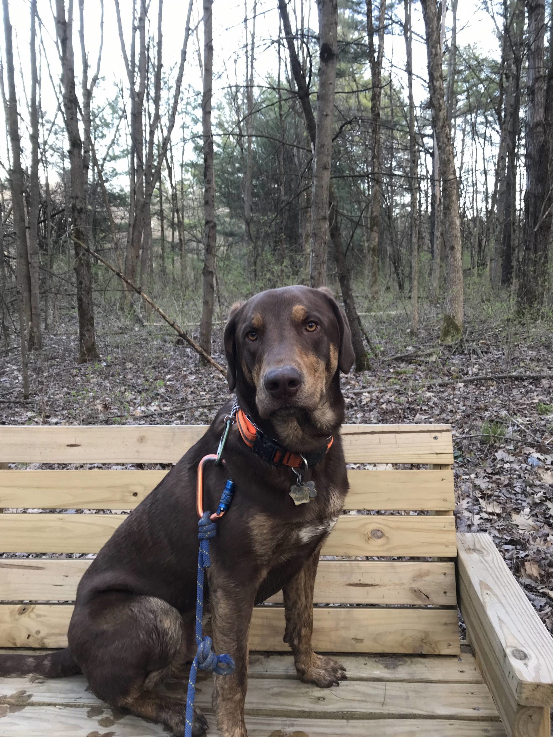 Hiking the trails