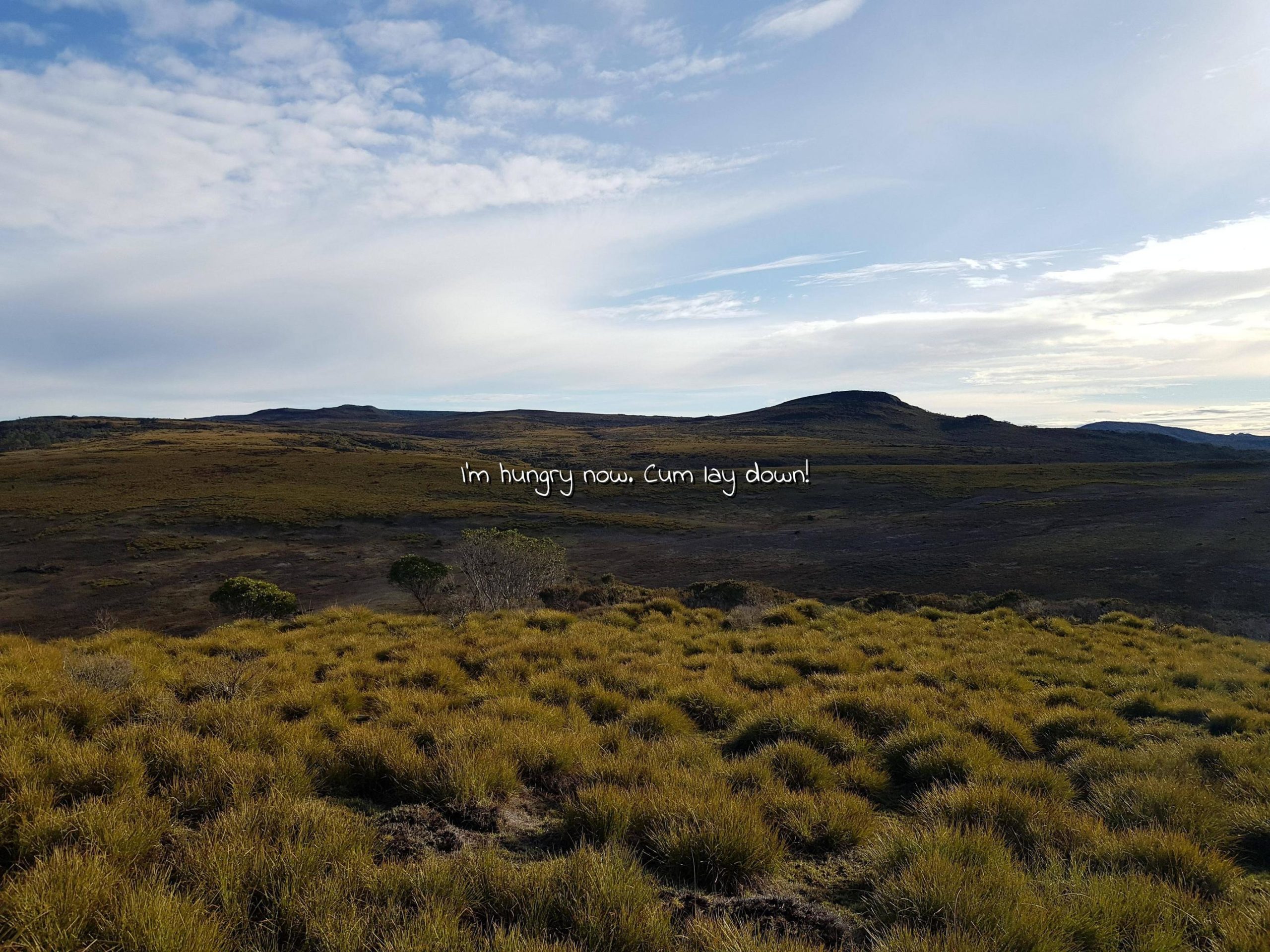 A plateau on a hiking trail around the Cradle Mountain region, Tasmania, Australia – OC