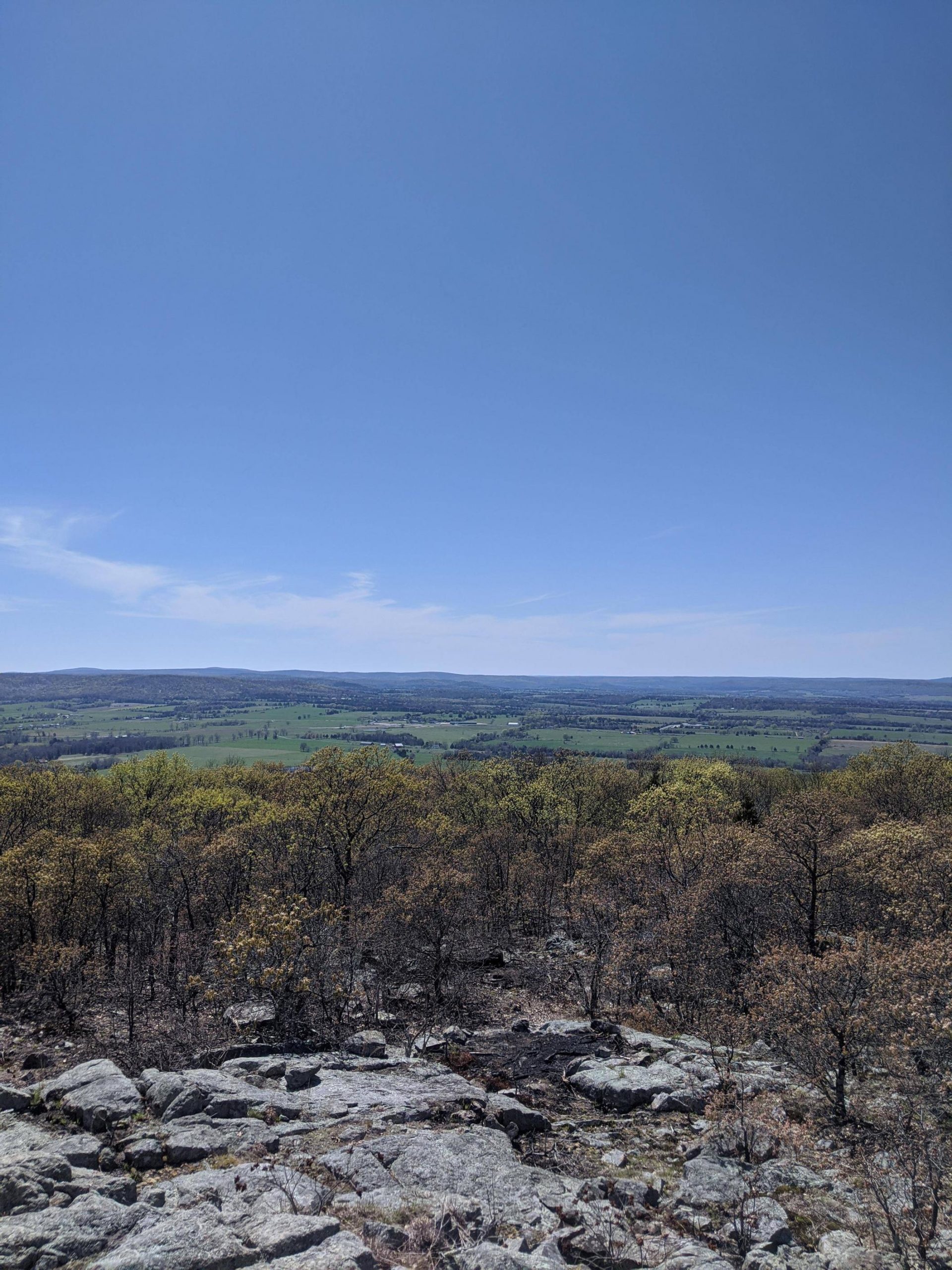 Buford Mountain Conservation Area, MO