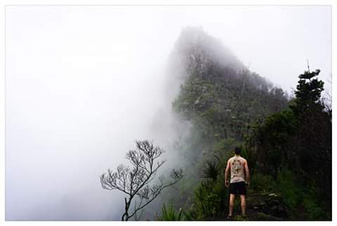 ITAP on a foggy hike