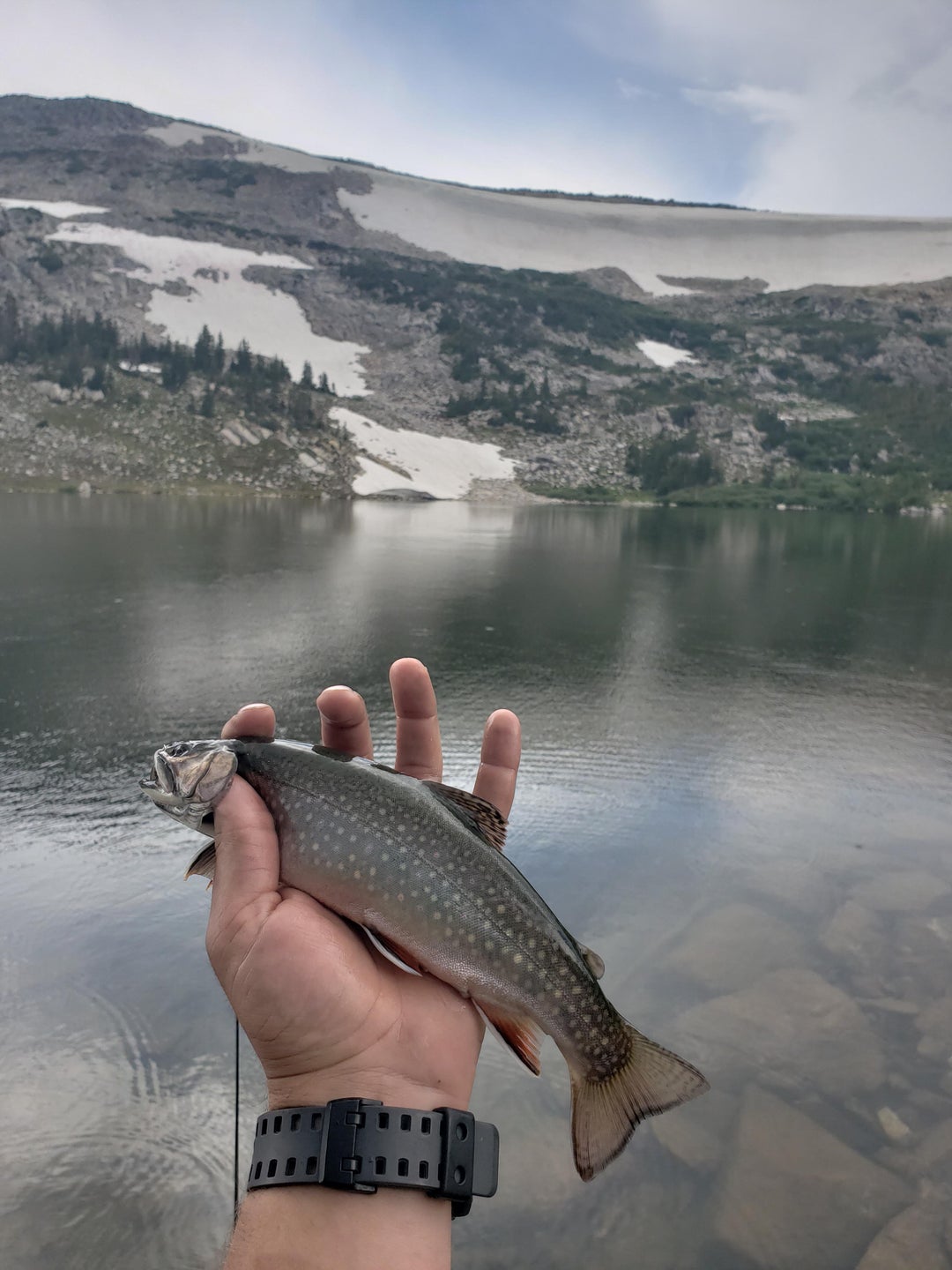 Living in Missouri right now and miss fishing in Wyoming. Hiked in 2 miles to get here, anyone else hike with a spinning reel rather than a fly rod and reel