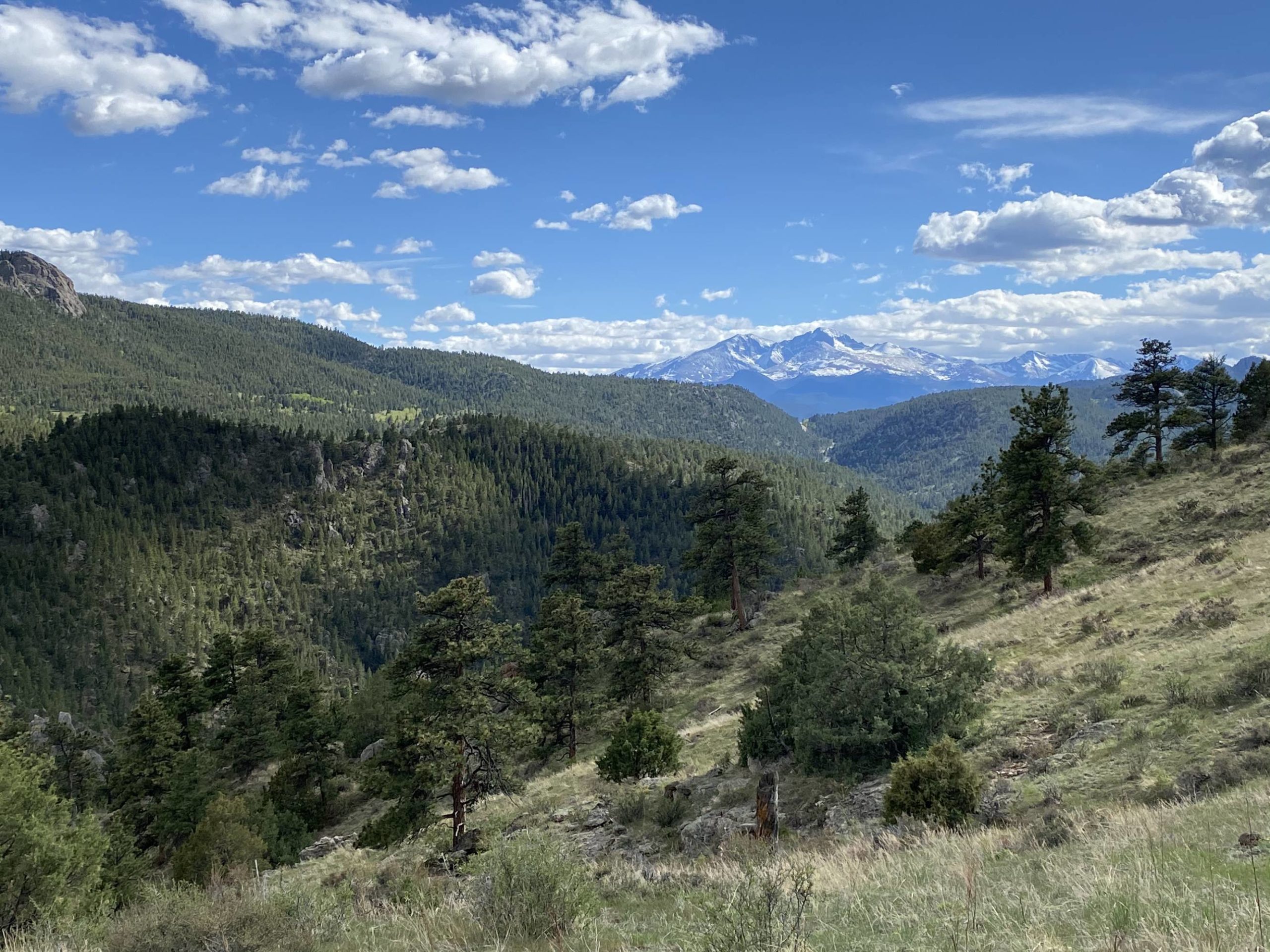 Solitary Hike Up Triangle Mountain Longs Peak in the Distance, Estes Park, Colorado, USA