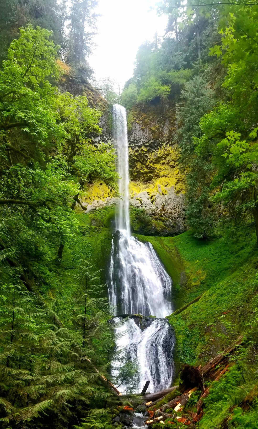 Did a nice 8 Mile hike to Pup creek falls Oregon OC 2128×3528