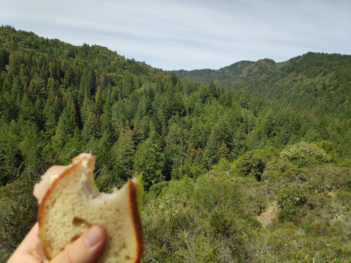 Coyote Peak, Bothe-Napa Valley State Park, Calistoga, CA, USA