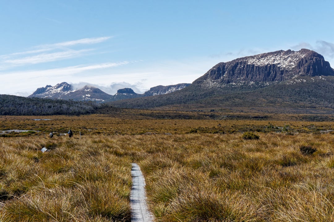 Overland hike, Tasmania. Album of more photos in the comments