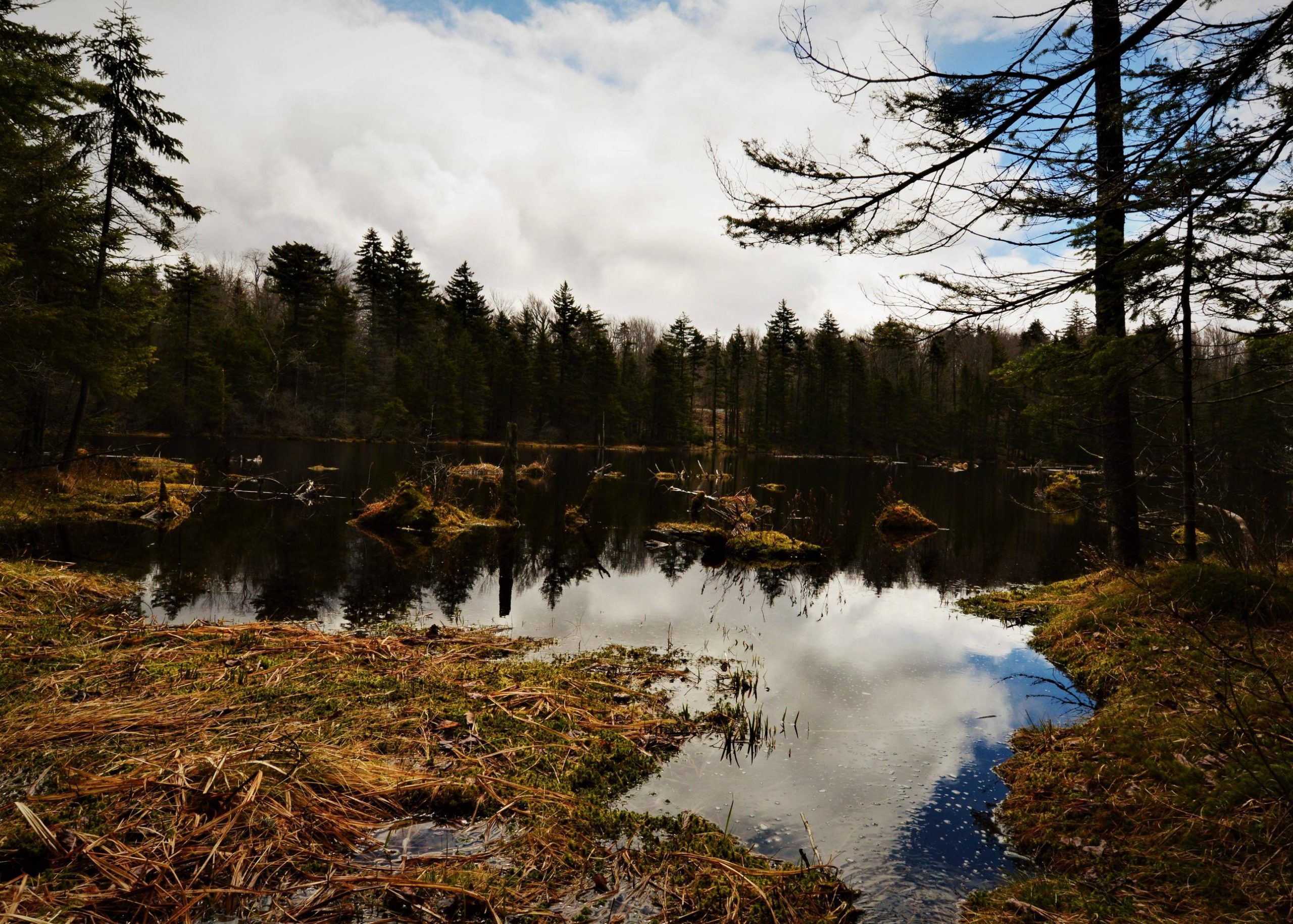 Adams Reservoir Loop, Woodford VT, USA