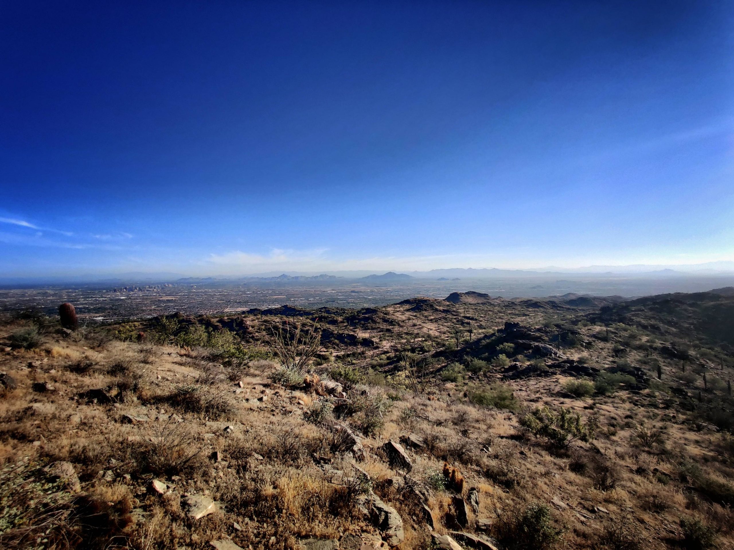 Good morning Phoenix. Hiking along hidden valley trail on south mountain