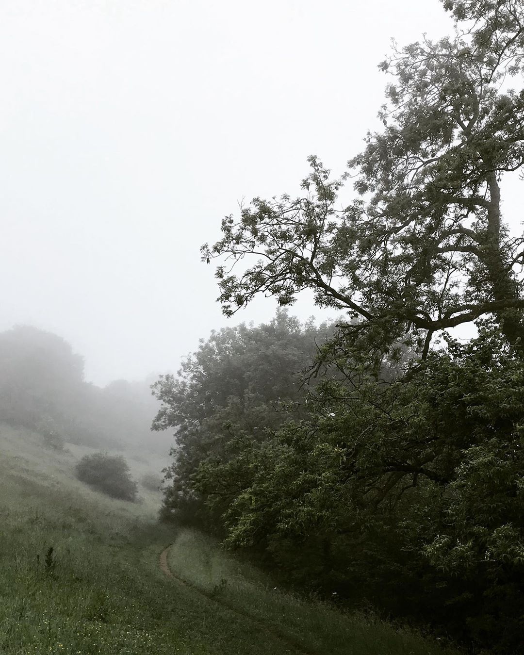 Misty this morning.Natural Ethical Timeless…exercise freshairclub outdoors frome so…