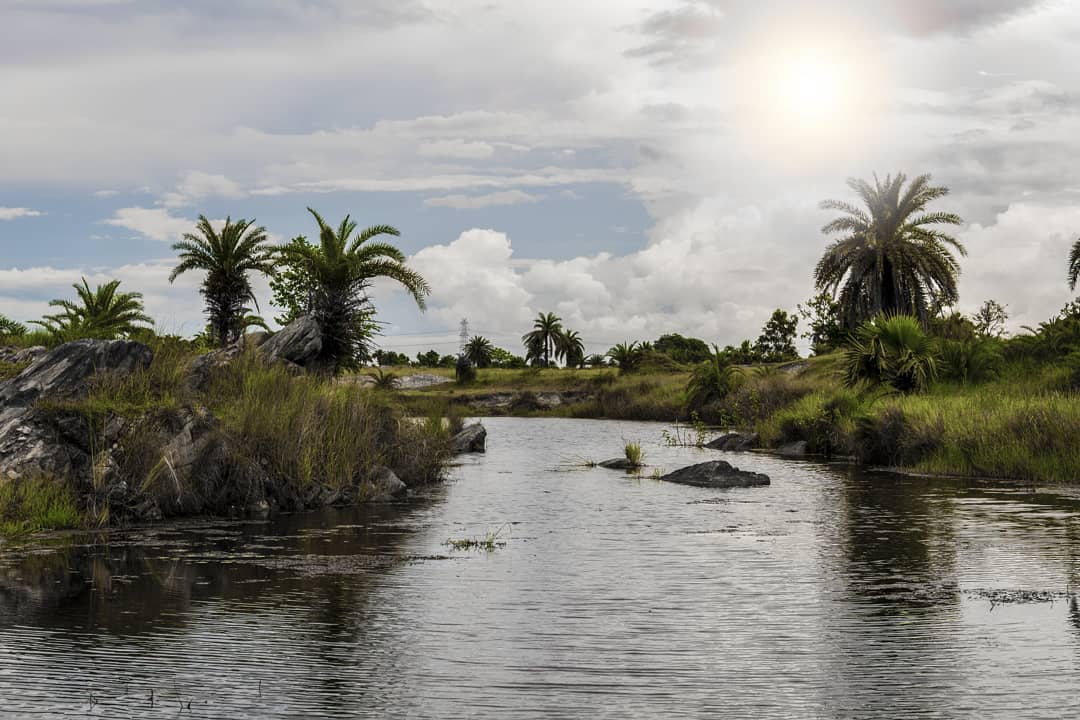 India WestBengal nature water tree tropical landscape reflection sky travel traveling vi…