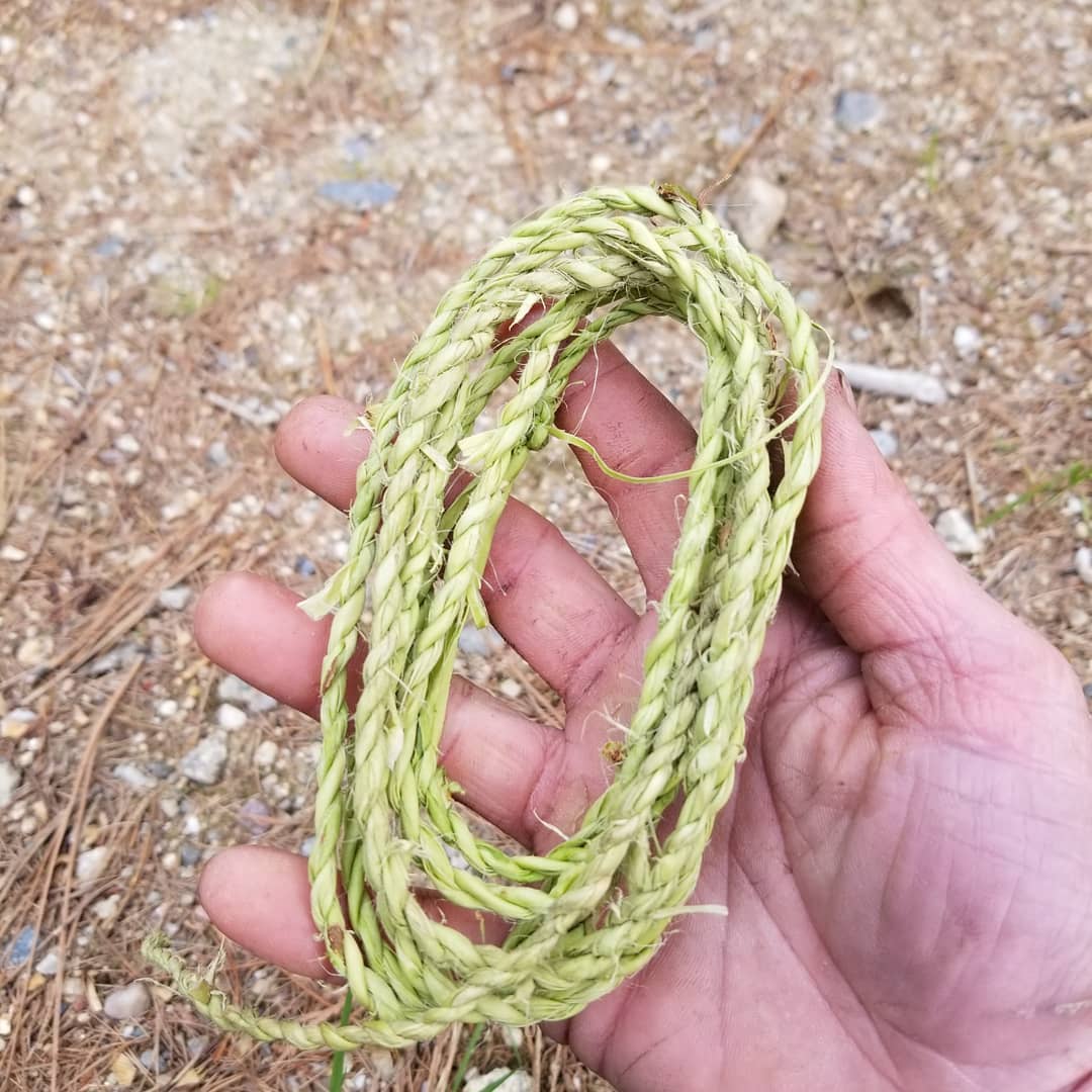 Willow bark bow drill cordage worked great Simply strip off the thin outer bark of new growth shoot…