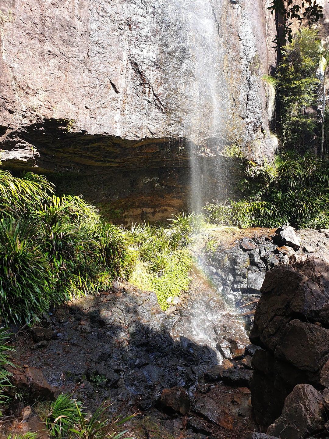 Rainbow Falls. Even on a cool day its nice to walk behind them. Springbrook NP, QLD, AUS.