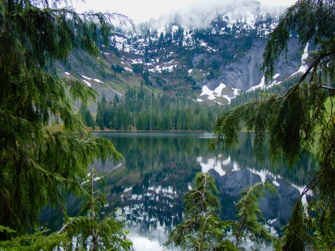 Tough hike up to Marten Lake was extremely worth it in the end. WA state, USA. OC 4896×3672