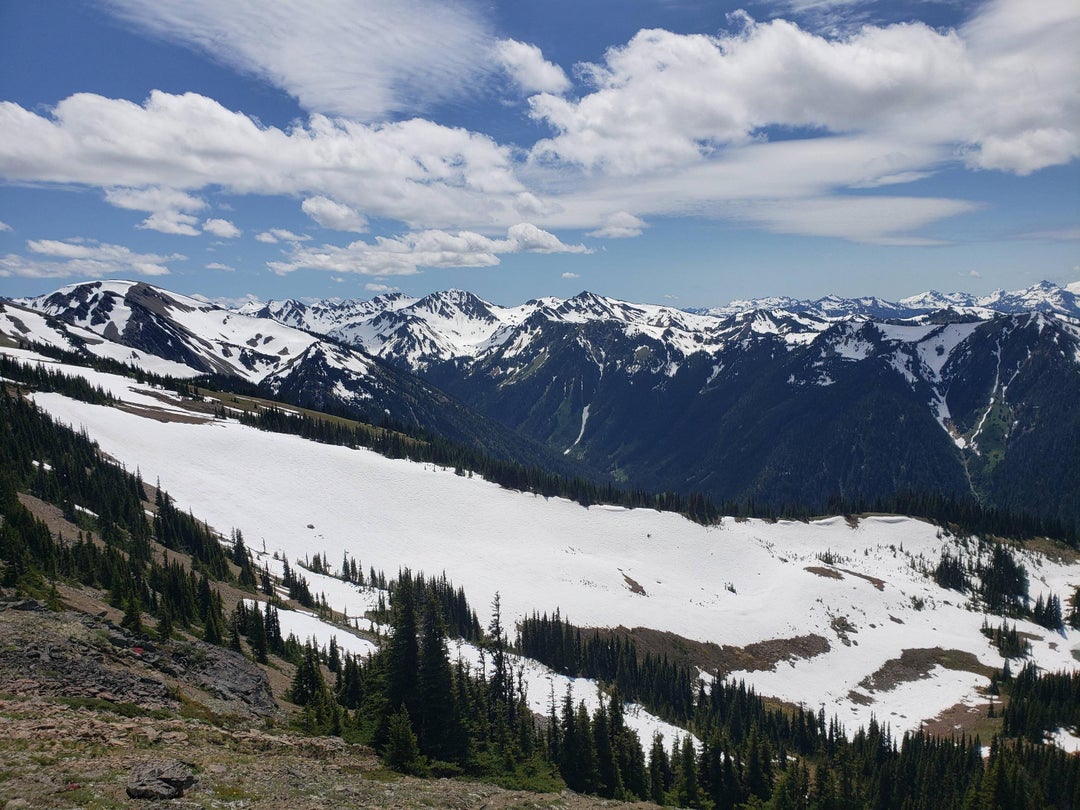 Olympic Mountains. Photo from a hike through the snow at the end of Obstruction Point Rd. 62620.