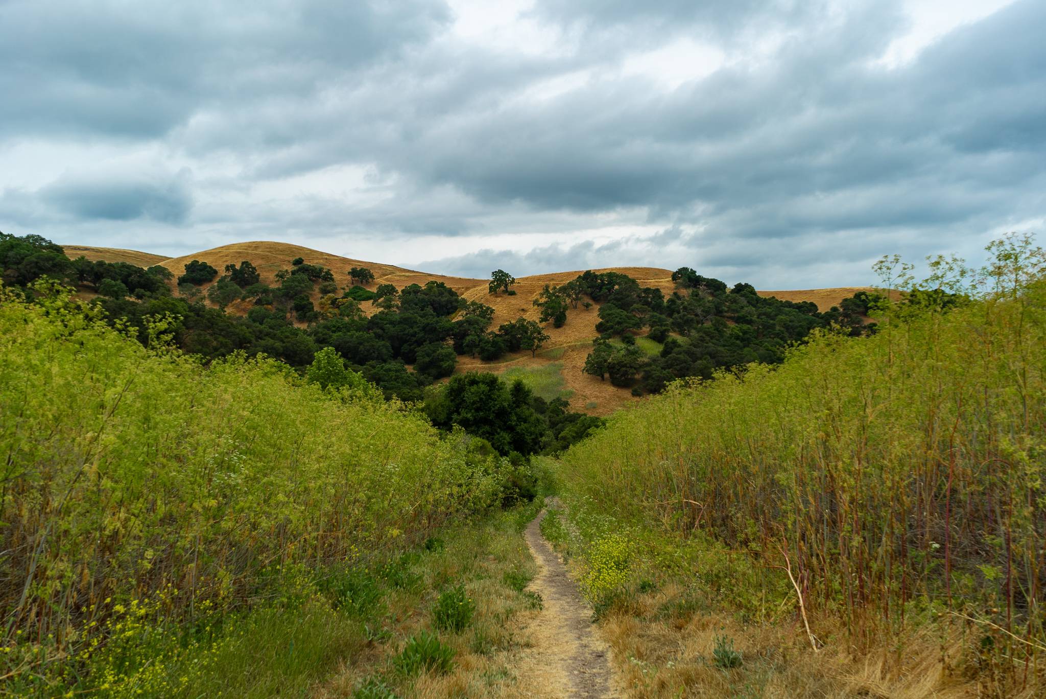 ITAP of a hiking trail in California