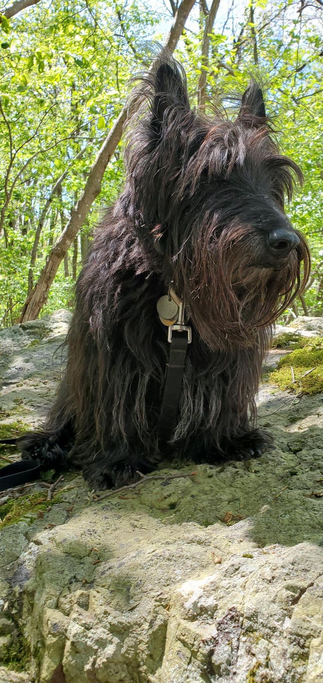 Bruce likes to hike