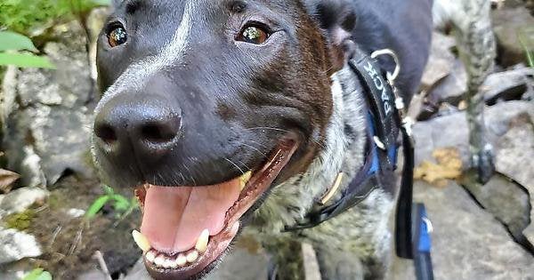 Happy Girl On A Hike