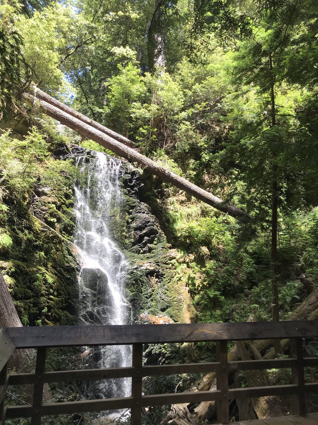 Waterfall Big Basin State Park California Juneclick for number