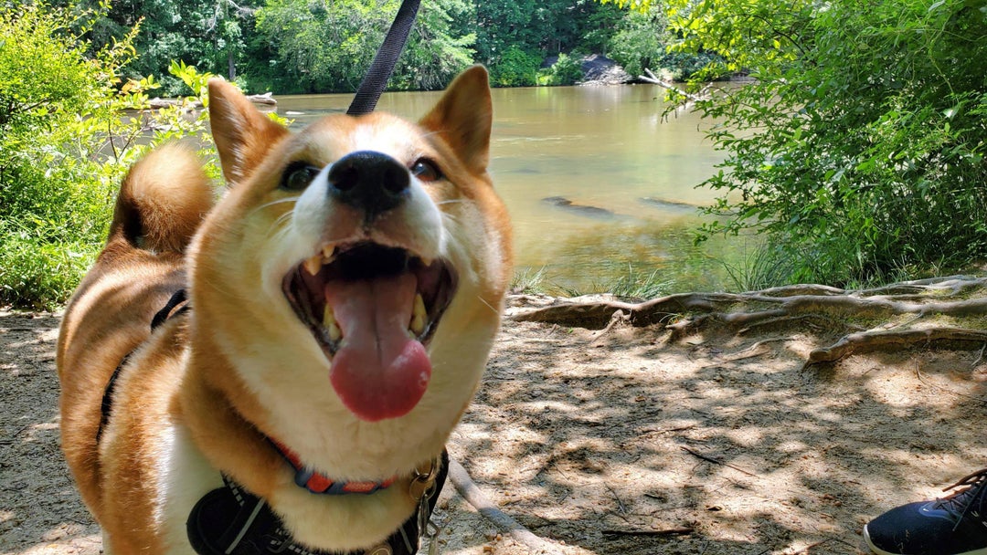 Bro had a great time on his hike