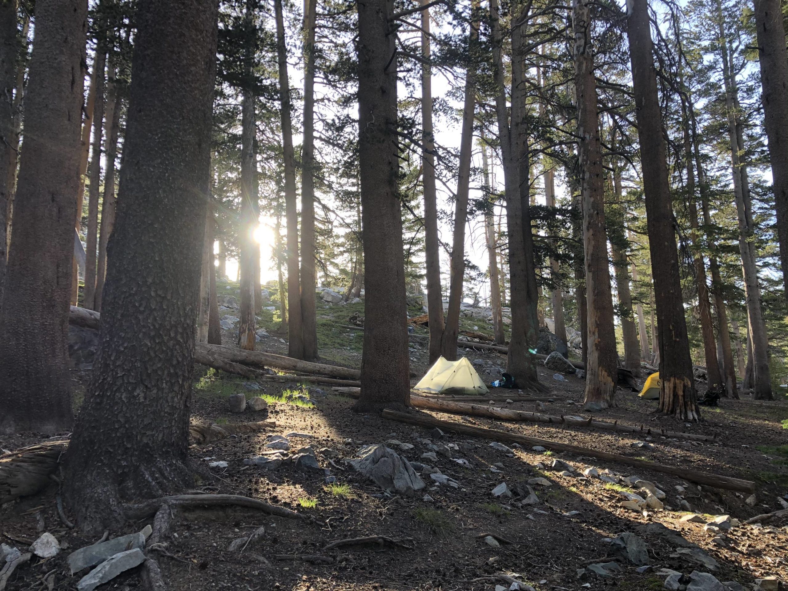 Failing the JMT in between jobs. Most beautiful hike to date