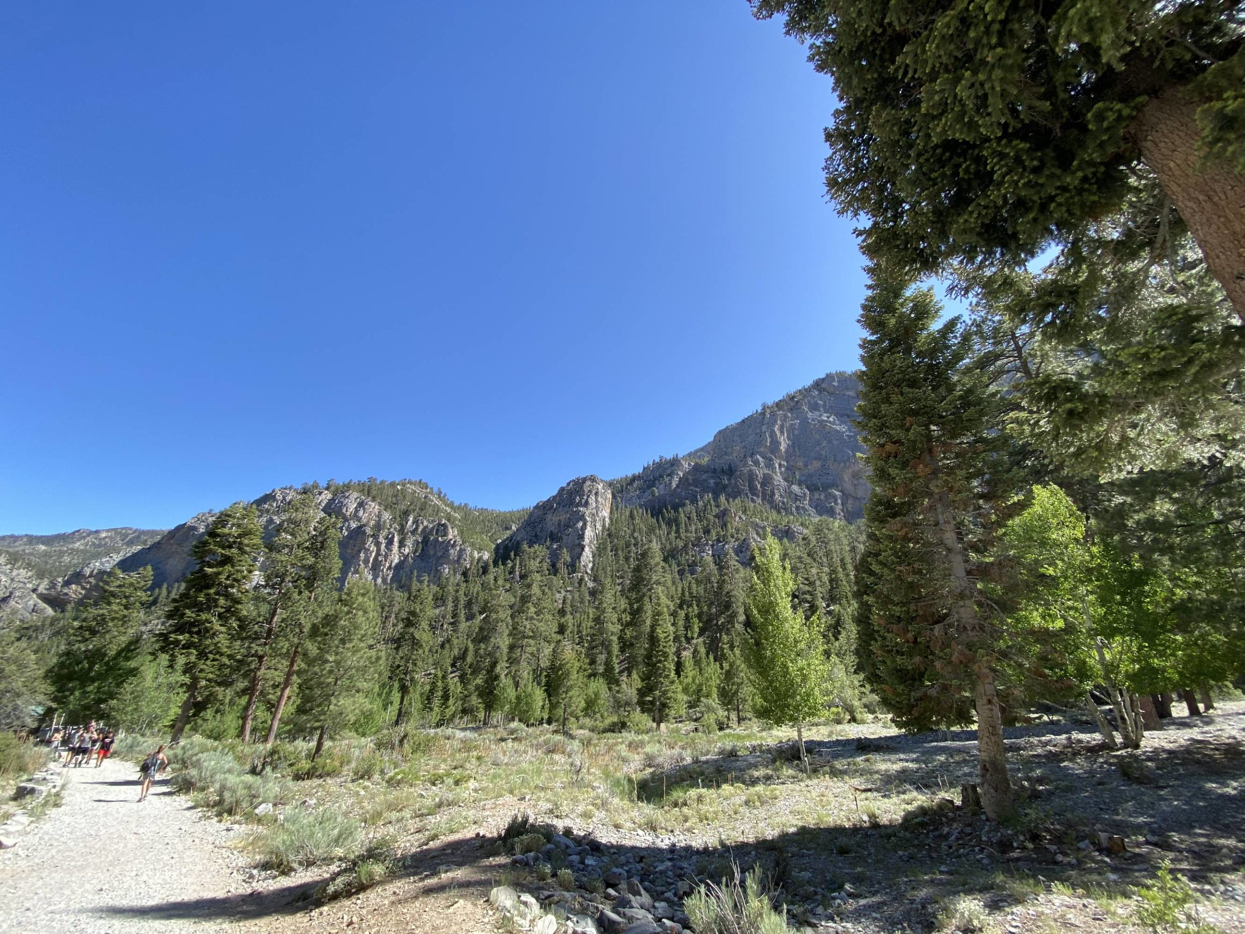 Mary Jane Falls, NV