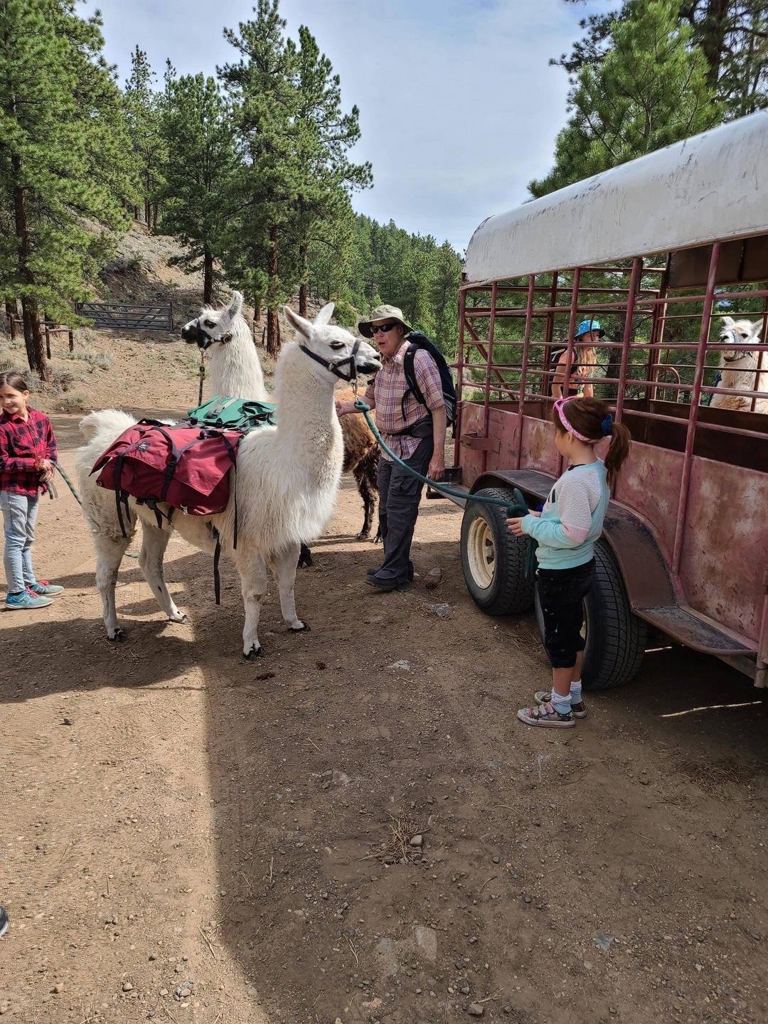 Llama hiking, good day trip with kiddos – They only take out people you are with – no strangers