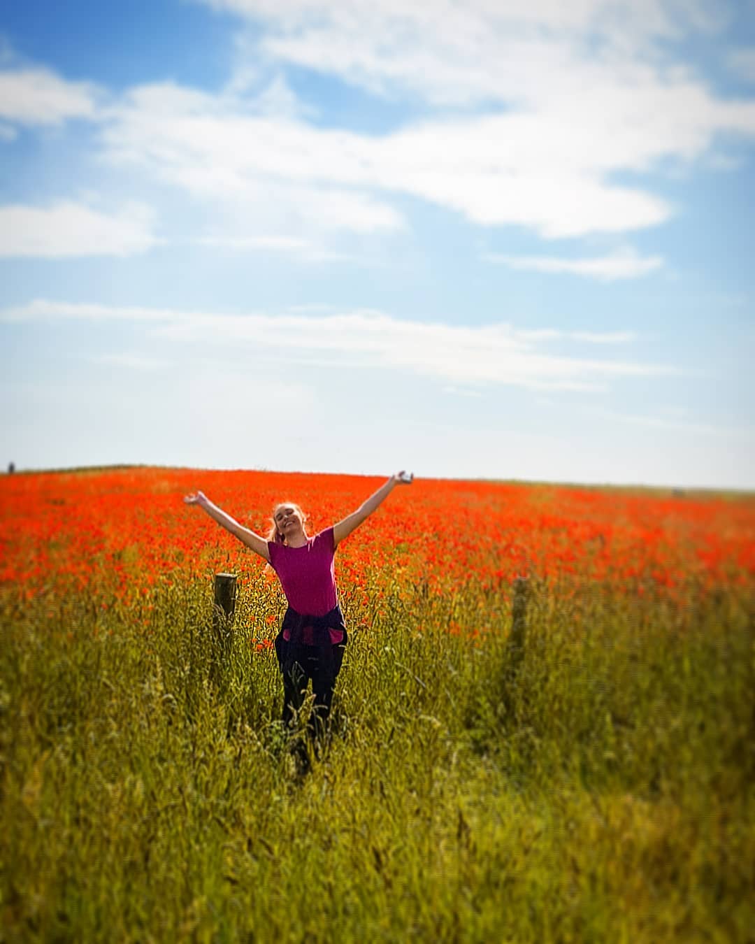 So much joy in a field of poppies..poppies poppyfields joy fun red blueskies dover visi…