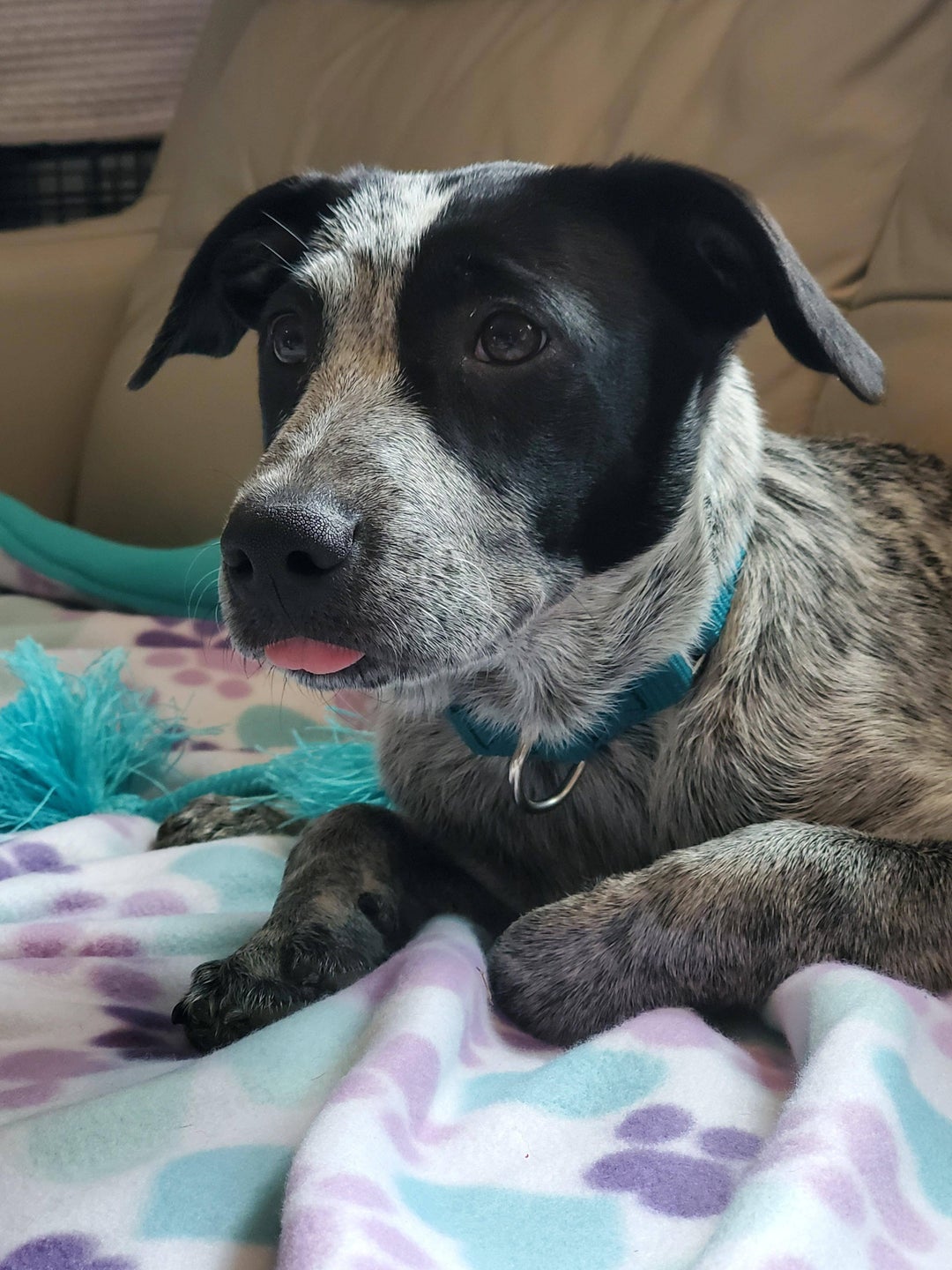 Navis post-hike blop