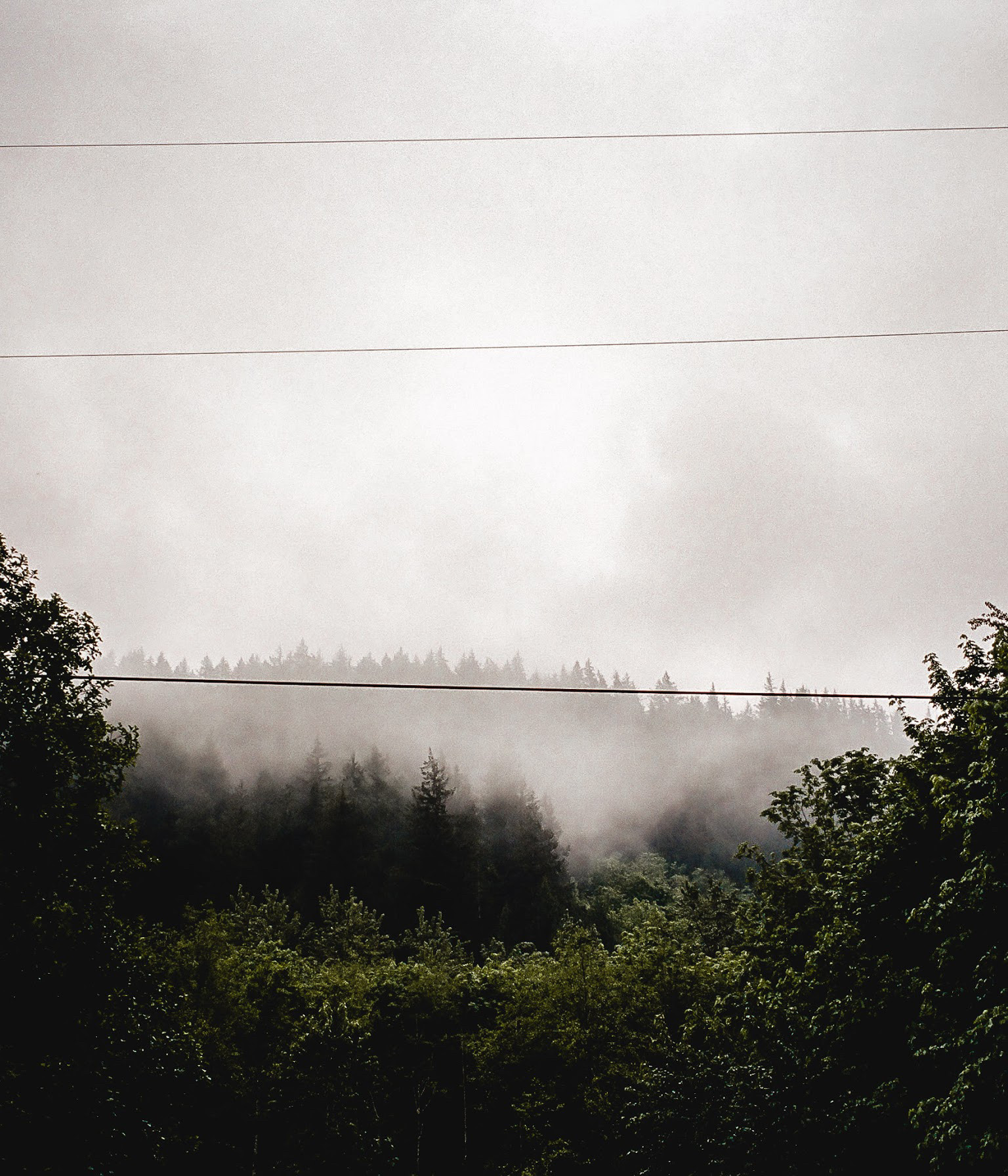 When you show up to a hike and its like… Leica M628mm ElmaritKodak Portra 400