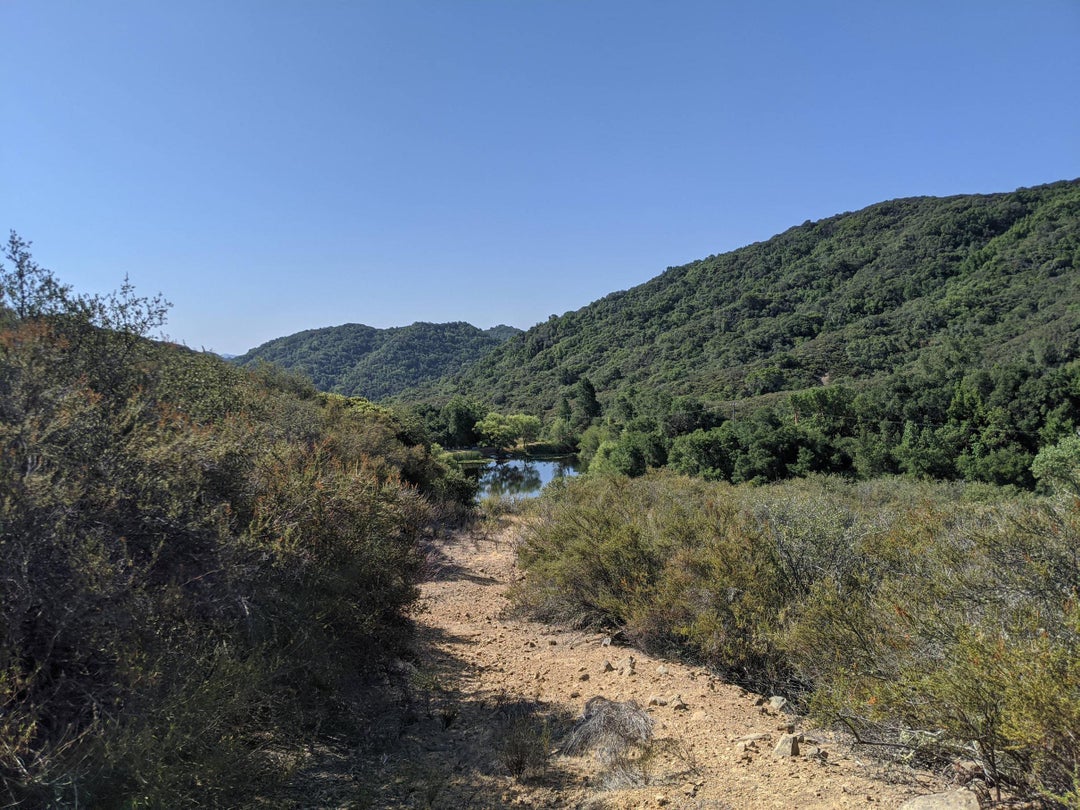 Klau Wilderness oasis. San Luis Obispo Country, CA