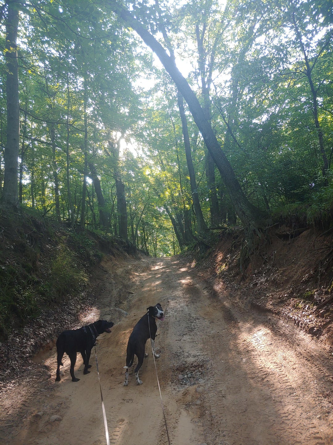 Hiking in Barry County Michigan