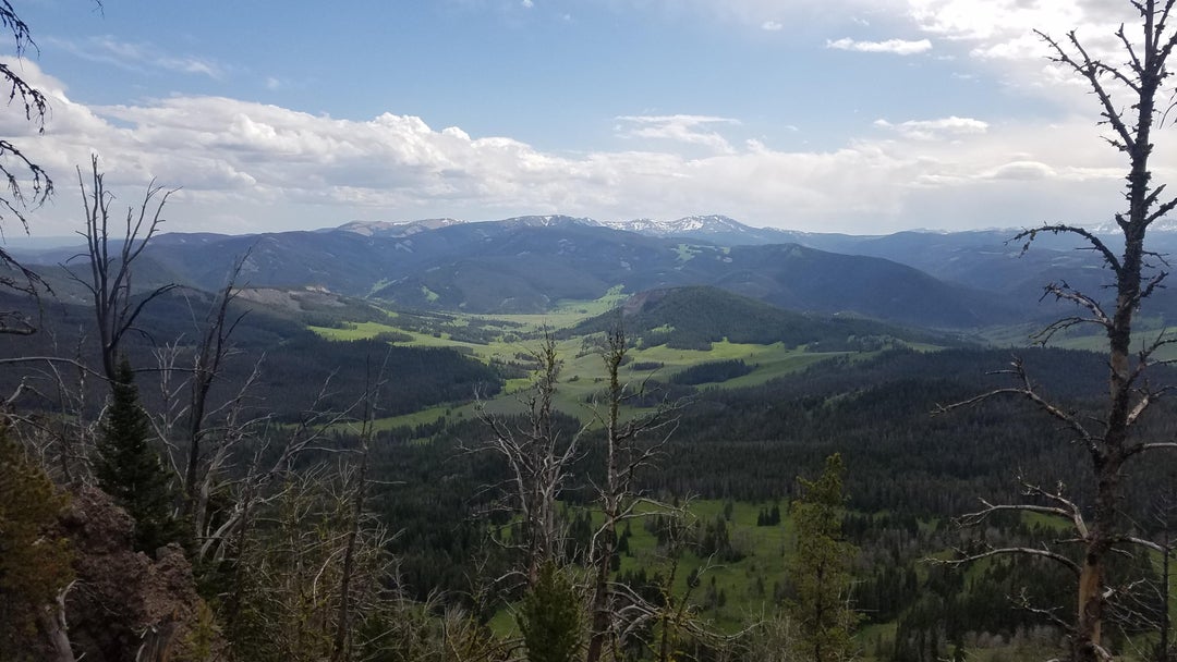 View from Daly Pass, MT