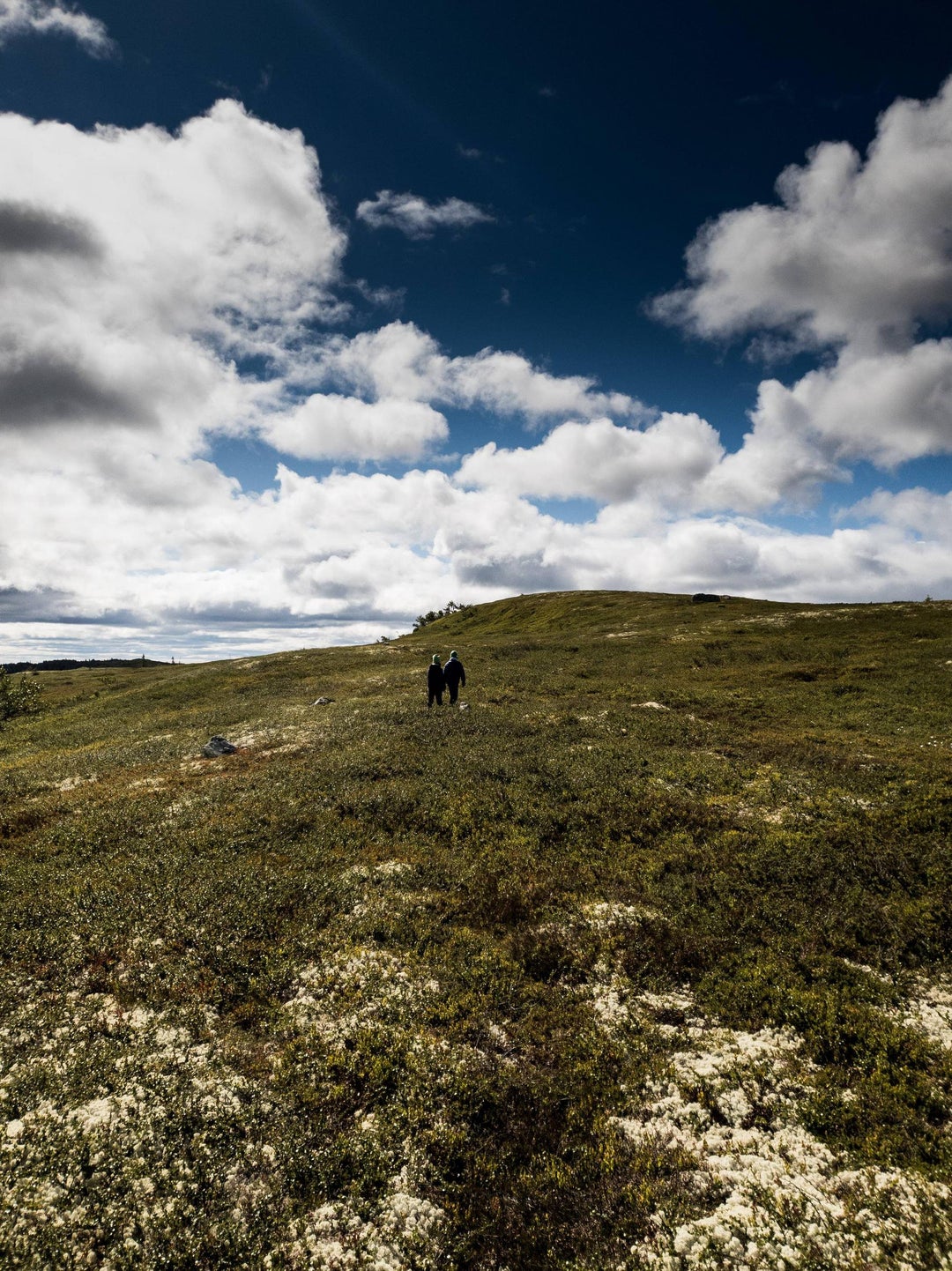 ITAP my kids on a hike in the mountains