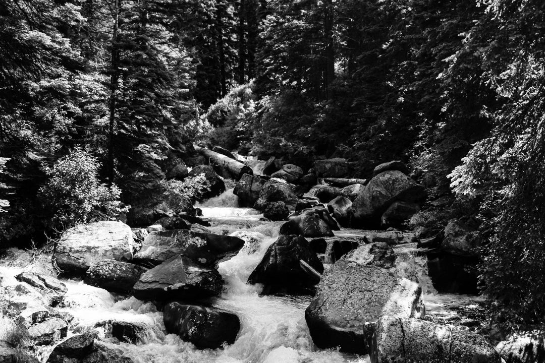 ITAP on a mid morning hike