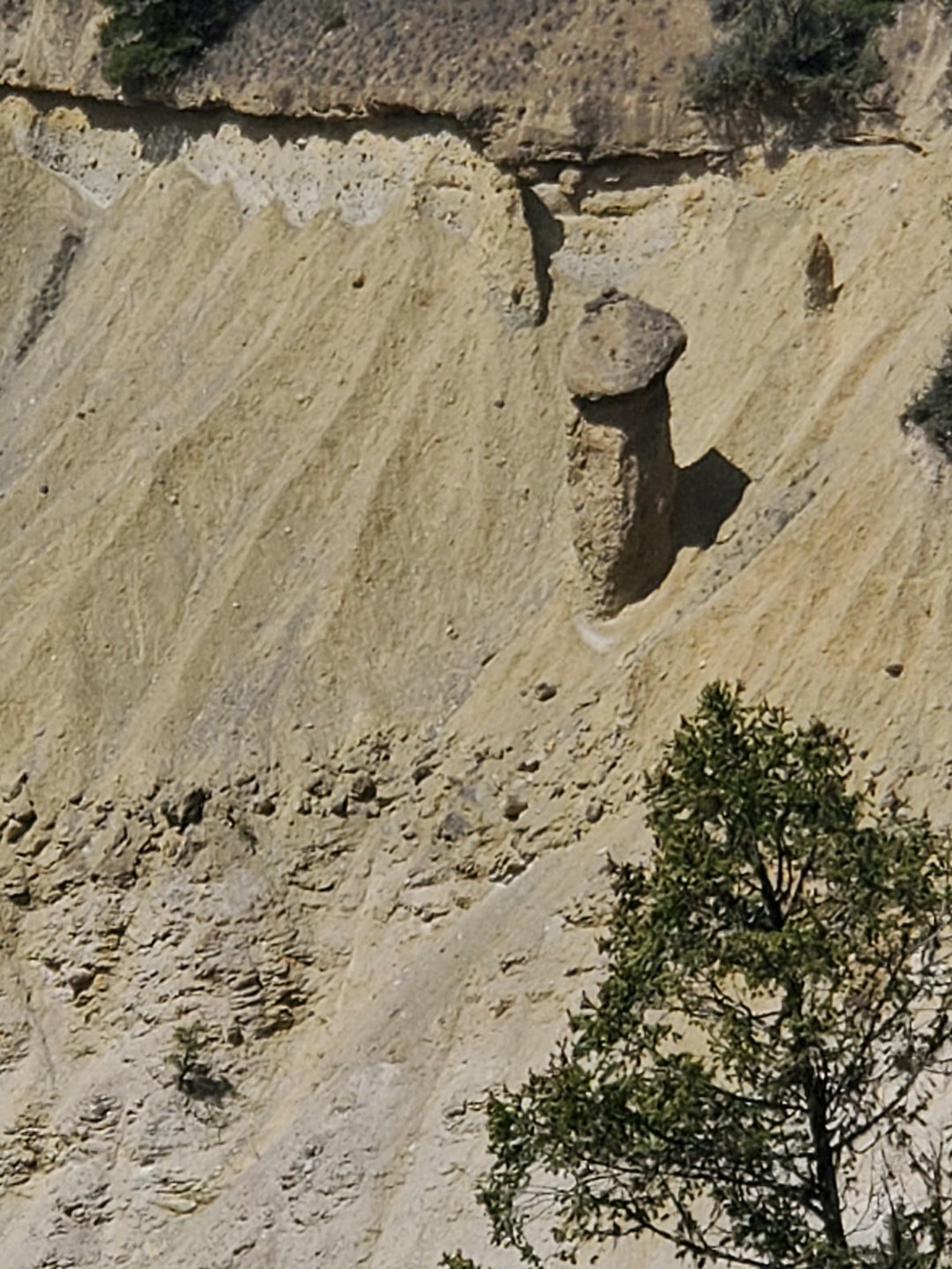 Found this Hoodoo on a hike recently