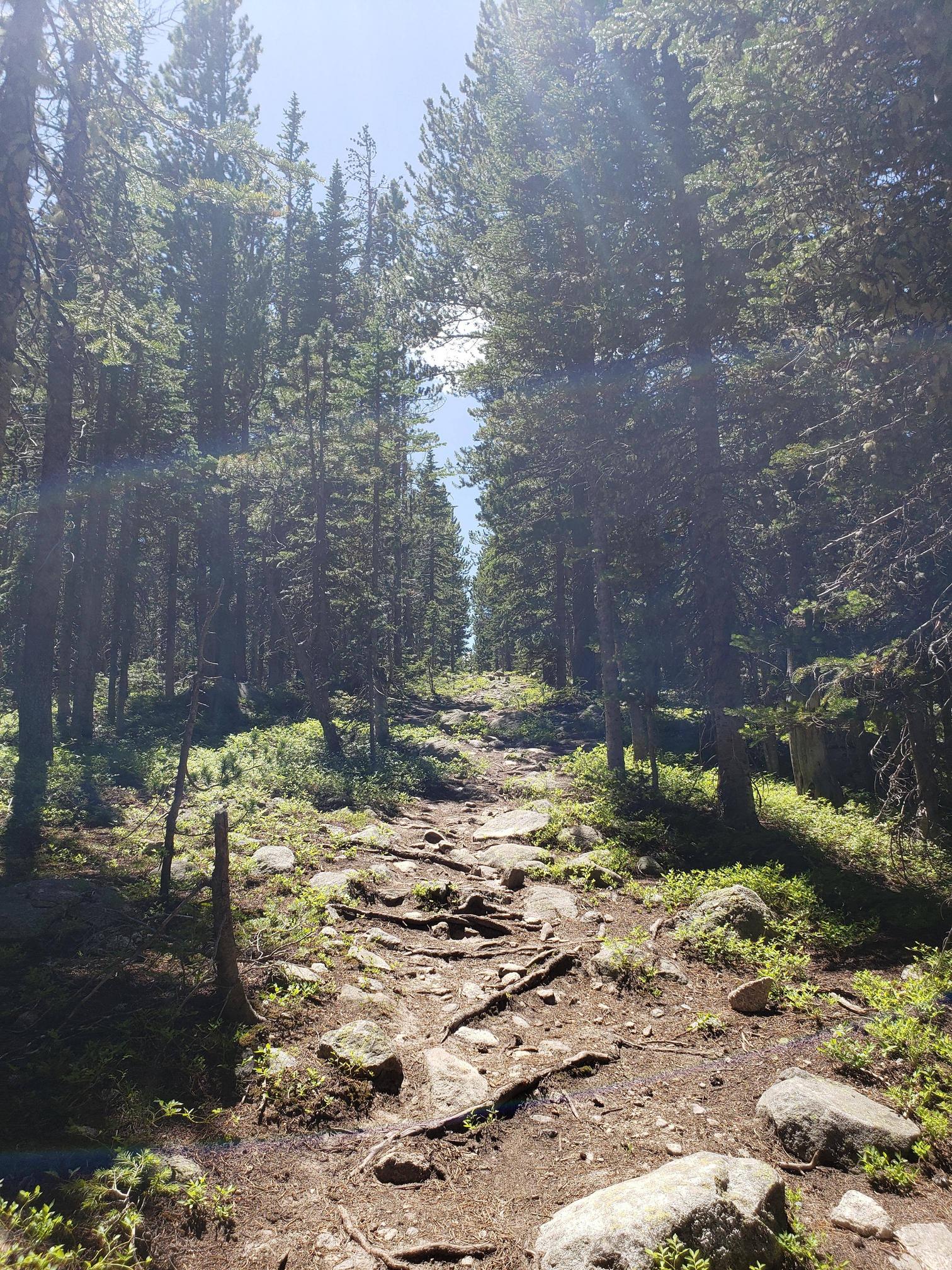 Hiking trail near Brainard Lake, Colorado OC 3024×4028