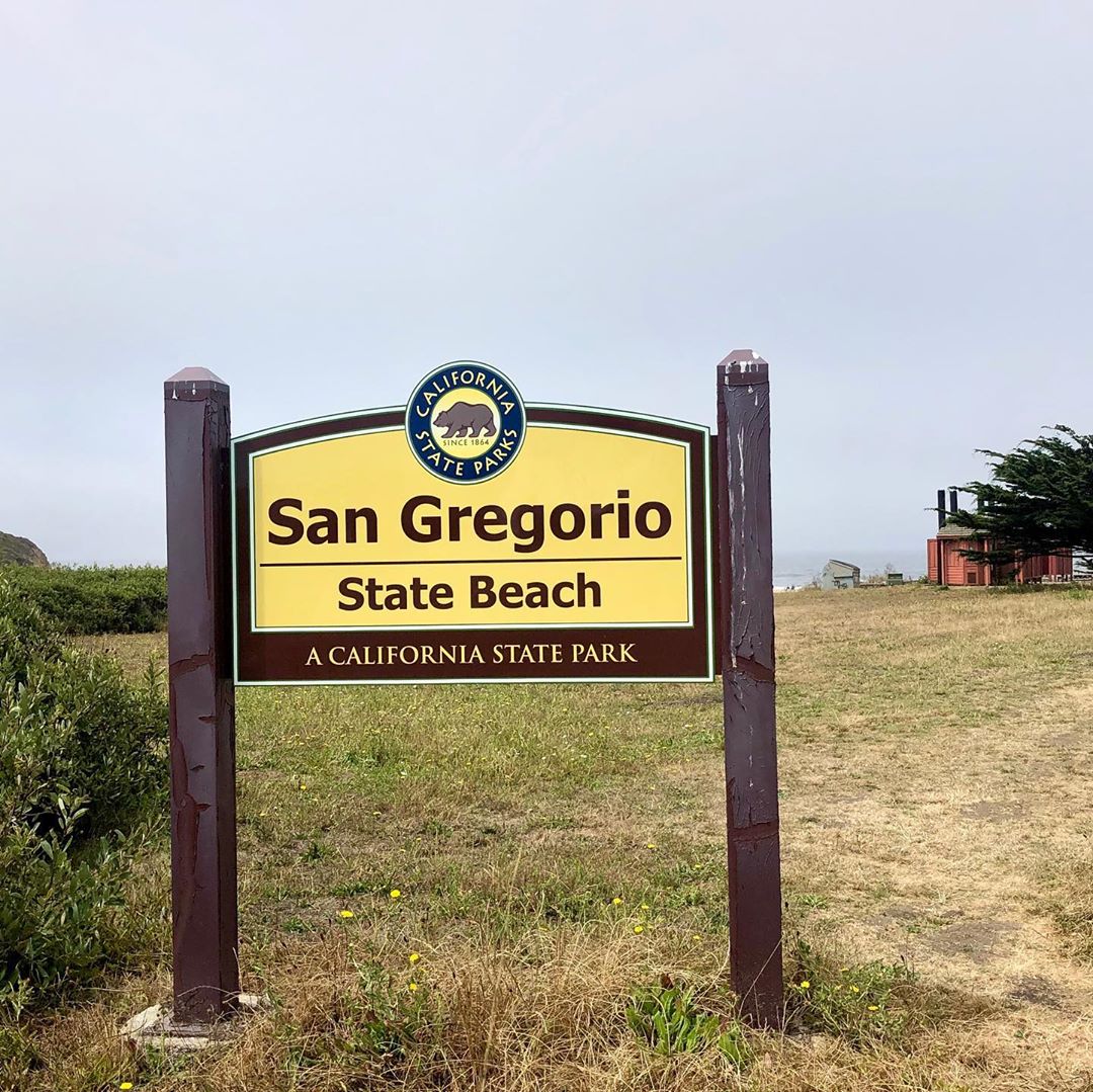 What a great discovery along the Pacific Coast Highway. San Gregorio State Beach. sangregorio sang…