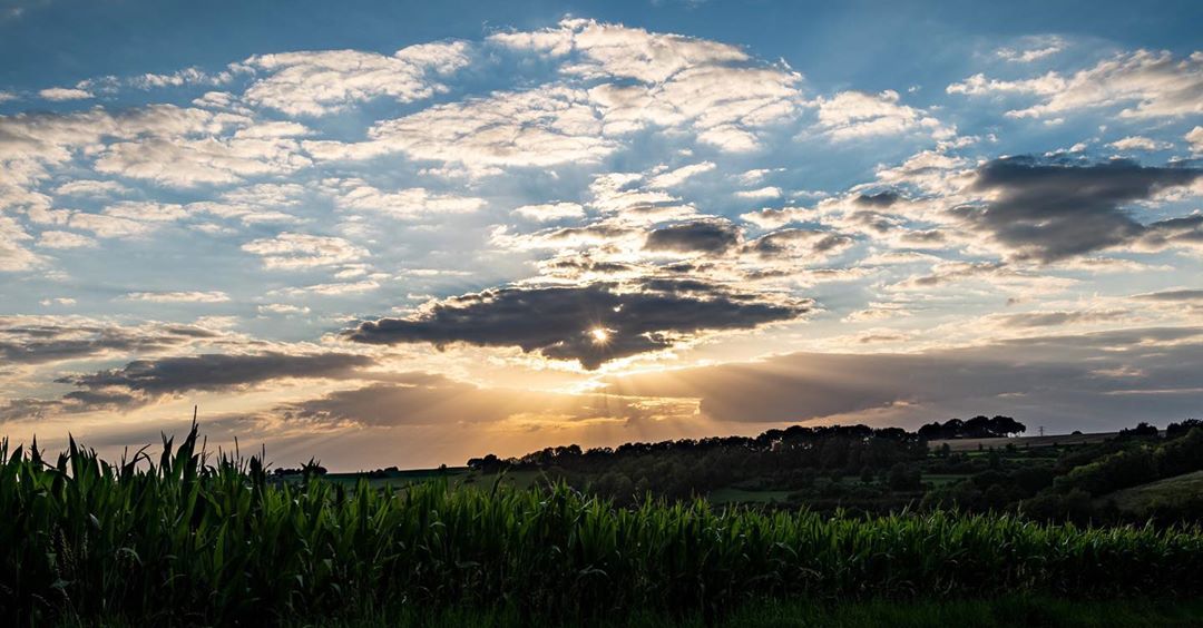 About last tuesday evening…sunset sunsetphotography sunandclouds afterglow goldenhour golden…