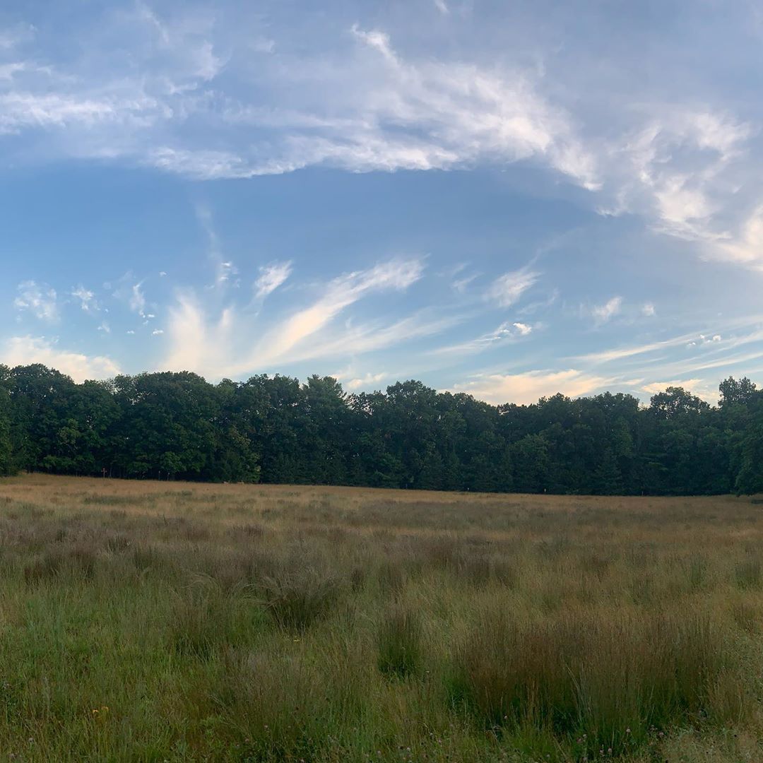 Early walk on this cool and more dry morning. The clouds were mesmerizing this morning. The field wa…