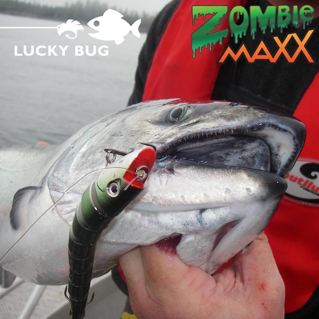 Salmon love to devour Zombie Maxx YummyHave you ever tried putting some on your Z…